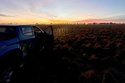 Golden Plains Wind Farm | CMW Geosciences